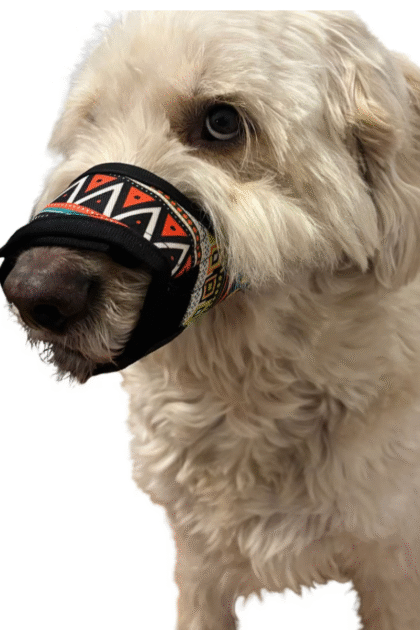 dog training muzzles