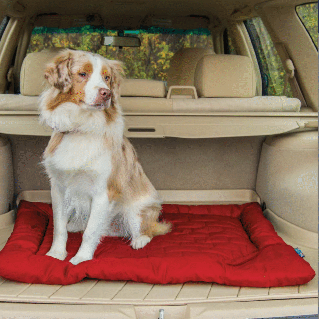 Dog Travel Bed