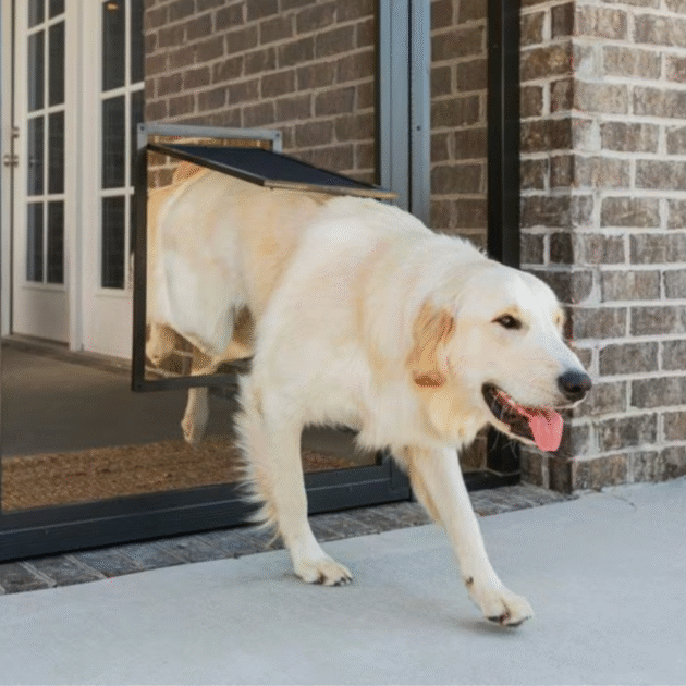 Dog Door