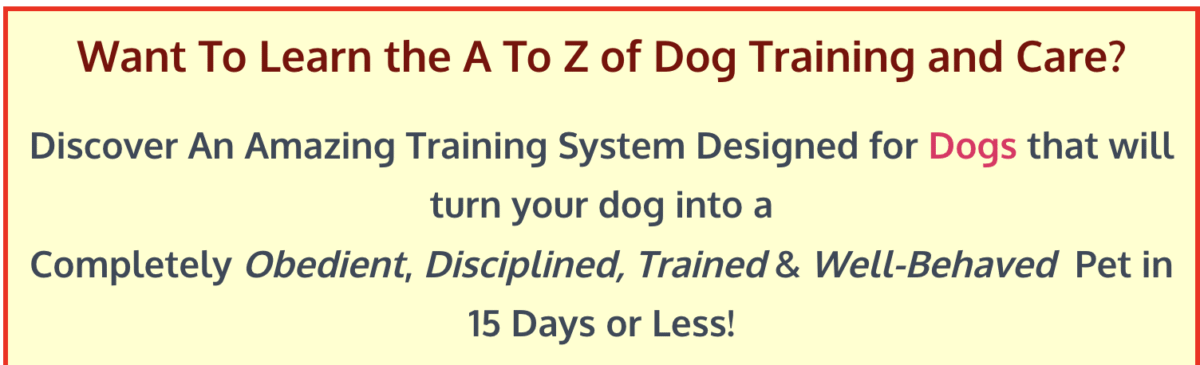 bad dog behavior course