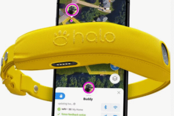 Dog GPS Tracker Tag