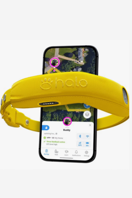 Dog GPS Tracker Tag