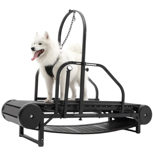 treadmills for dogs