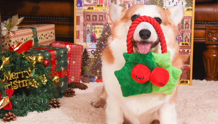 dog Christmas Toys